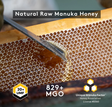 Load image into Gallery viewer, Manuka Honey UMF™ 20+ | MGO 829+
